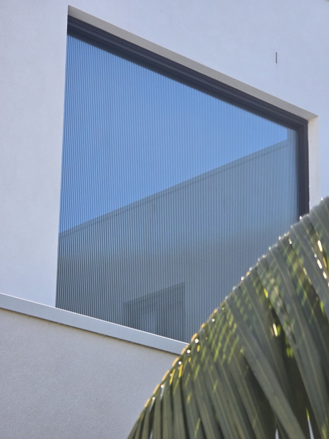 Decorative window film installation by TintCo